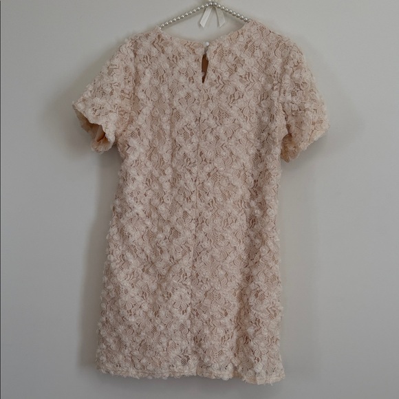 Chic Cream Lace Mini Dress - Picture 7 of 8